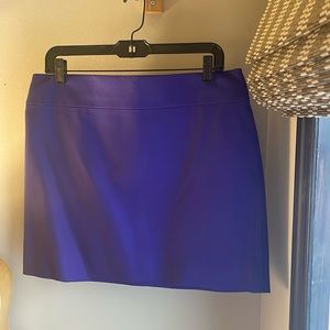 Women’s J. crew purple mini skirt size 10